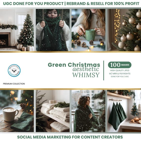 (Unrestricted PLR) Christmas Holiday Profit Vault: Playbook